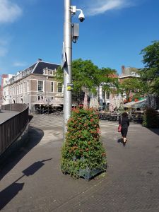{Q-CAT} 404 - Pagina niet gevonden